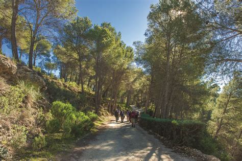 rutas senderismo sevilla|Los 10 mejores senderos y rutas en Sevilla 